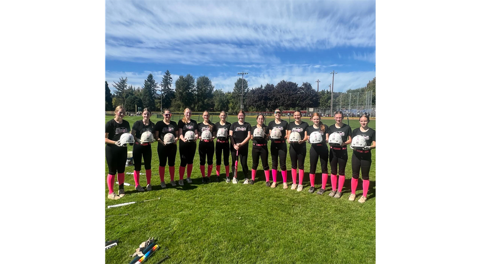 16u ashley * breast cancer awareness